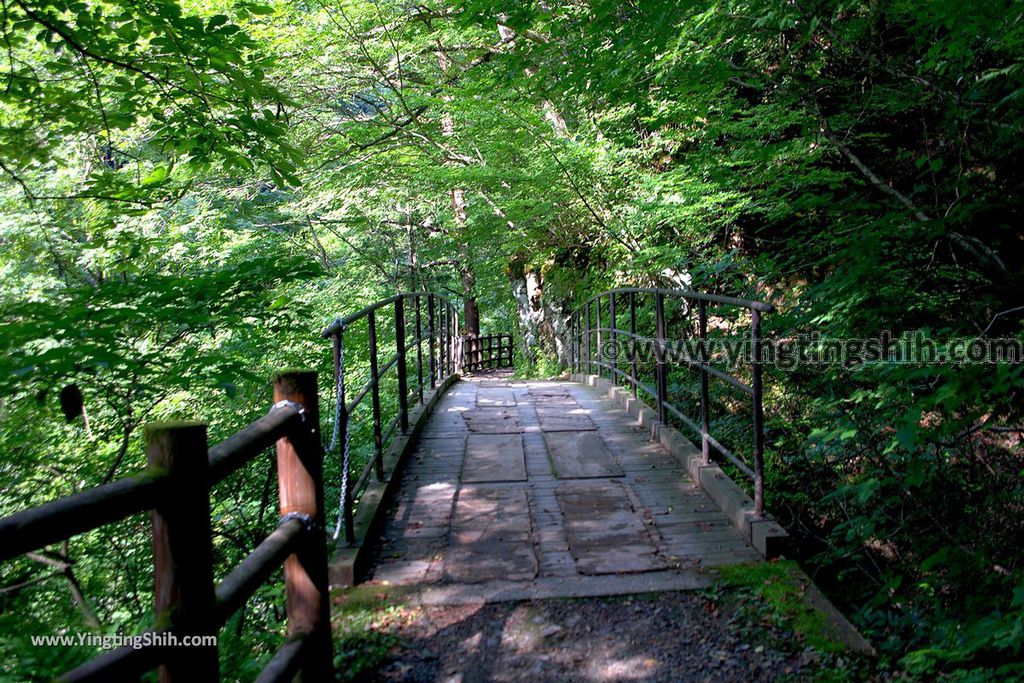 YTS_YTS_20190720_日本東北秋田抱返り渓谷／神の岩橋／若松堰／回顧の滝Japan Tohoku Akita Dakigaeri Gorge083_539A3765.jpg