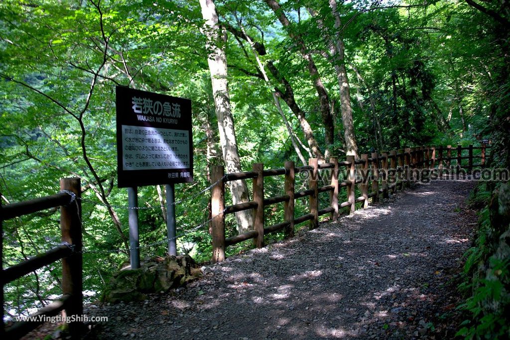 YTS_YTS_20190720_日本東北秋田抱返り渓谷／神の岩橋／若松堰／回顧の滝Japan Tohoku Akita Dakigaeri Gorge084_539A3767.jpg