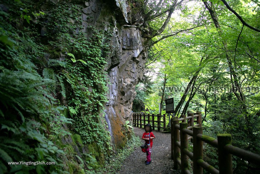 YTS_YTS_20190720_日本東北秋田抱返り渓谷／神の岩橋／若松堰／回顧の滝Japan Tohoku Akita Dakigaeri Gorge088_539A3780.jpg