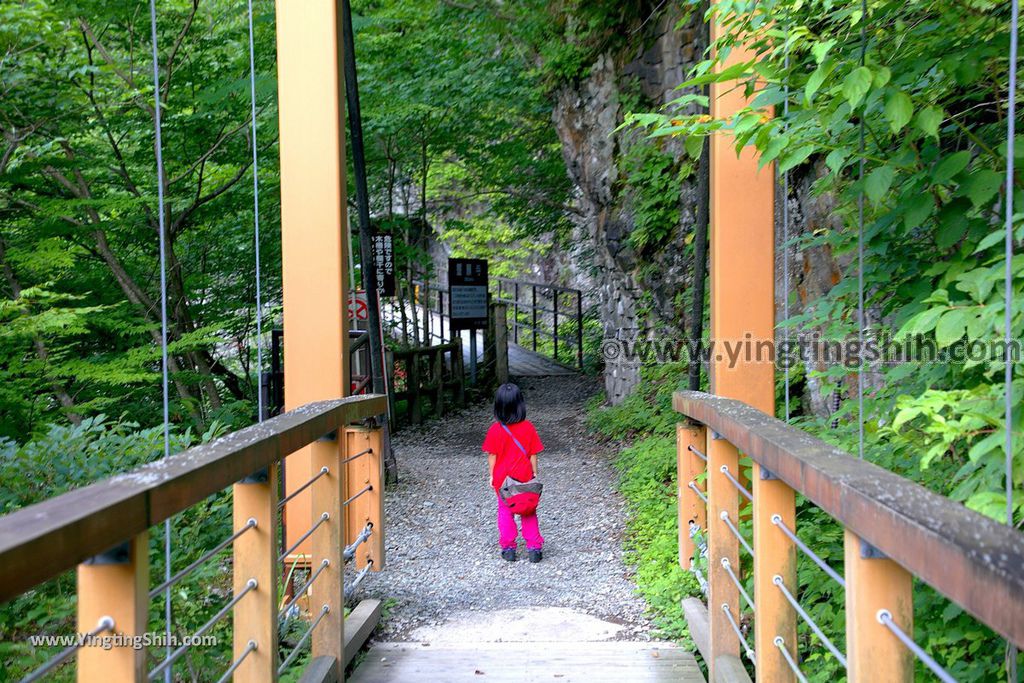 YTS_YTS_20190720_日本東北秋田抱返り渓谷／神の岩橋／若松堰／回顧の滝Japan Tohoku Akita Dakigaeri Gorge097_539A3813.jpg