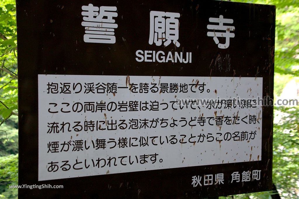 YTS_YTS_20190720_日本東北秋田抱返り渓谷／神の岩橋／若松堰／回顧の滝Japan Tohoku Akita Dakigaeri Gorge099_539A3815.jpg