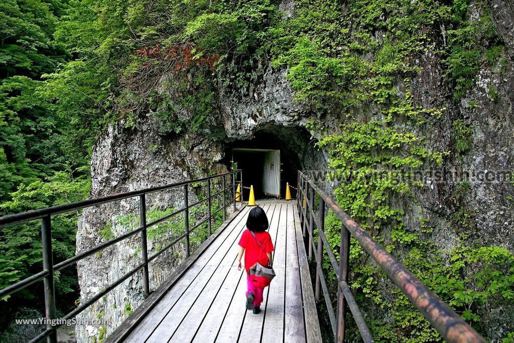 YTS_YTS_20190720_日本東北秋田抱返り渓谷／神の岩橋／若松堰／回顧の滝Japan Tohoku Akita Dakigaeri Gorge100_539A3817.jpg