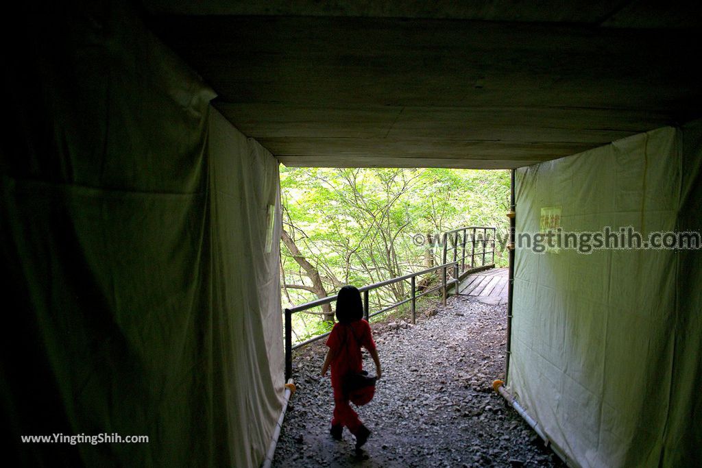 YTS_YTS_20190720_日本東北秋田抱返り渓谷／神の岩橋／若松堰／回顧の滝Japan Tohoku Akita Dakigaeri Gorge107_539A3833.jpg