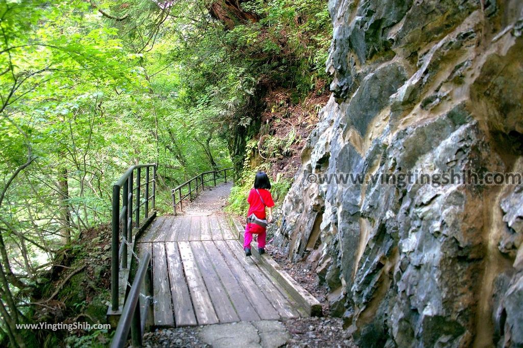 YTS_YTS_20190720_日本東北秋田抱返り渓谷／神の岩橋／若松堰／回顧の滝Japan Tohoku Akita Dakigaeri Gorge108_539A3836.jpg