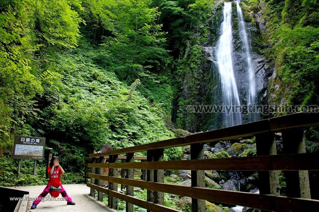 YTS_YTS_20190720_日本東北秋田抱返り渓谷／神の岩橋／若松堰／回顧の滝Japan Tohoku Akita Dakigaeri Gorge132_539A3994.jpg