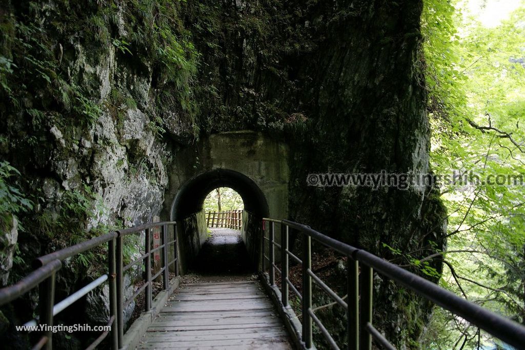 YTS_YTS_20190720_日本東北秋田抱返り渓谷／神の岩橋／若松堰／回顧の滝Japan Tohoku Akita Dakigaeri Gorge140_539A4107.jpg