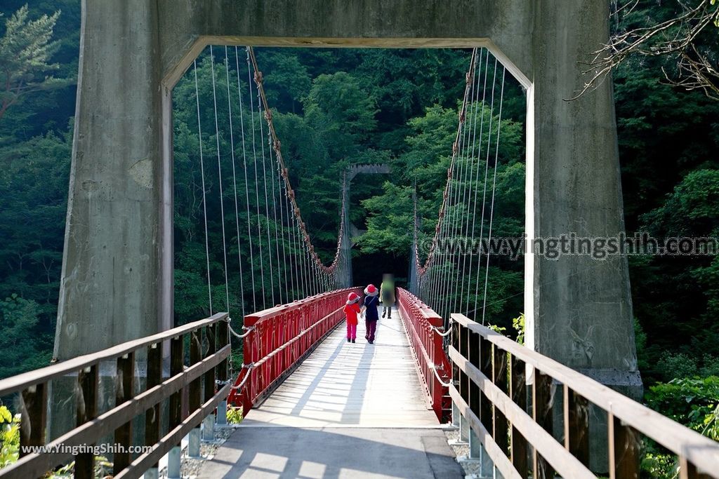 YTS_YTS_20190720_日本東北秋田抱返り渓谷／神の岩橋／若松堰／回顧の滝Japan Tohoku Akita Dakigaeri Gorge142_539A4174.jpg