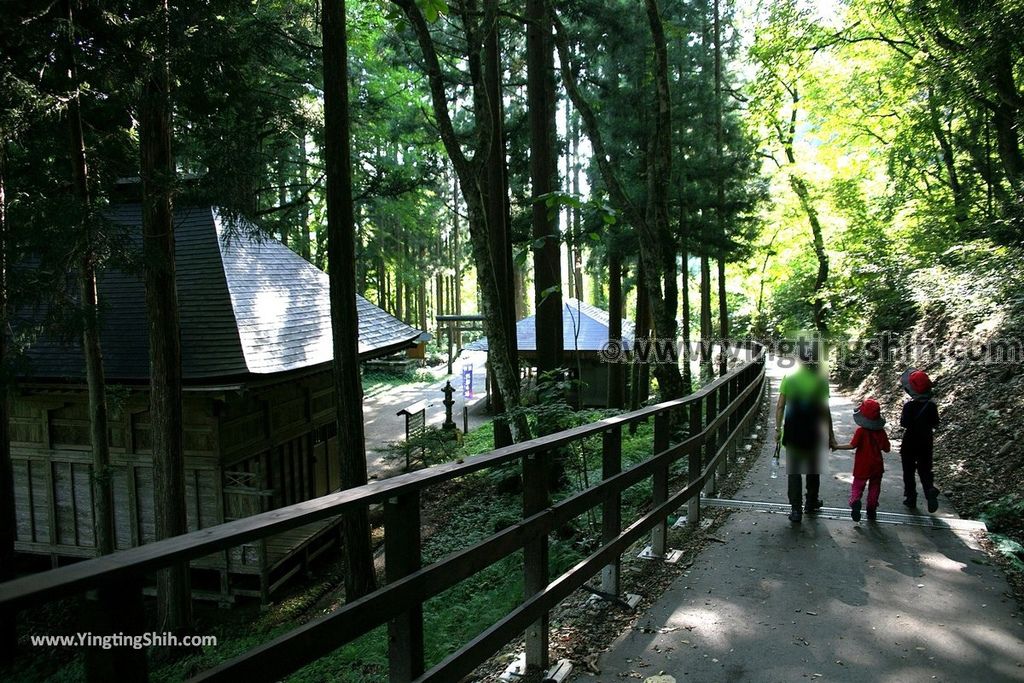 YTS_YTS_20190720_日本東北秋田抱返り渓谷／神の岩橋／若松堰／回顧の滝Japan Tohoku Akita Dakigaeri Gorge143_539A4197.jpg