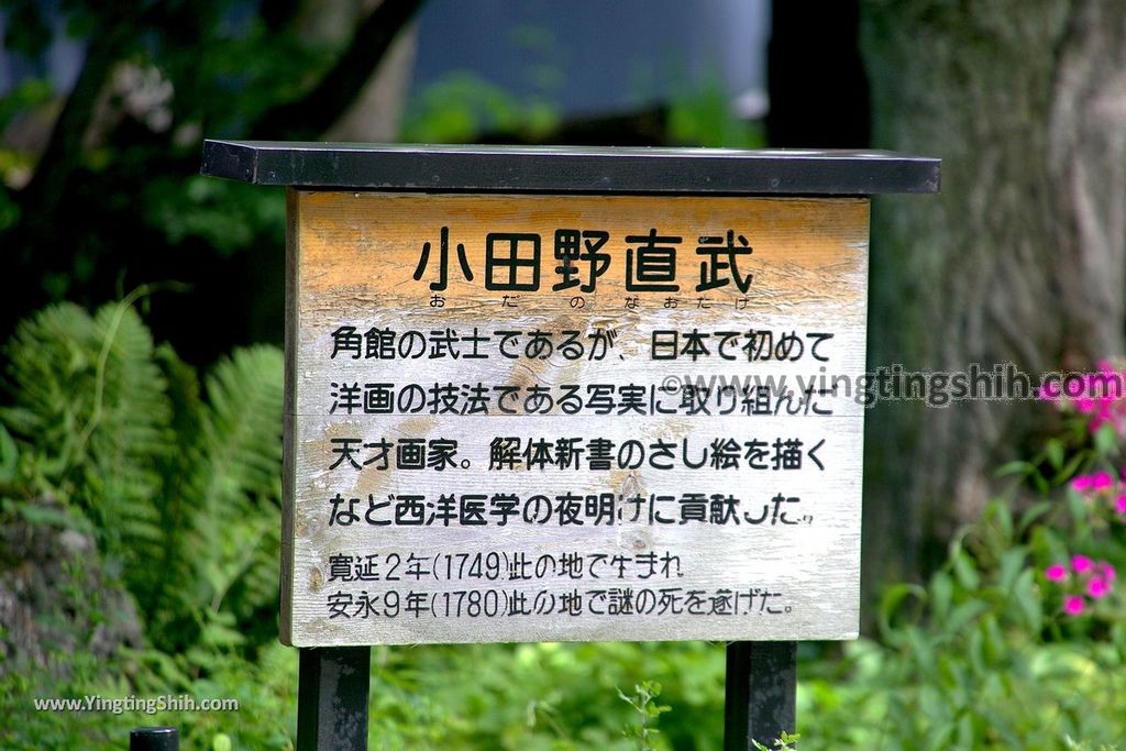 YTS_YTS_20190721_日本東北秋田角館歷史村／武家屋敷／青柳家Japan Tohoku Akita Aoyagi Manor／Samurai House115_539A4676.jpg