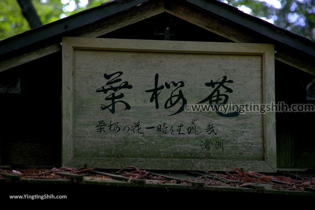 YTS_YTS_20190721_日本東北秋田角館歷史村／武家屋敷／青柳家Japan Tohoku Akita Aoyagi Manor／Samurai House175_539A4759.jpg