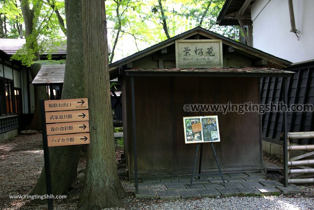 YTS_YTS_20190721_日本東北秋田角館歷史村／武家屋敷／青柳家Japan Tohoku Akita Aoyagi Manor／Samurai House174_539A4758.jpg