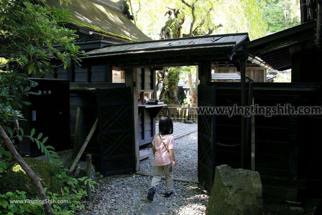 YTS_YTS_20190721_日本東北秋田角館歷史村／武家屋敷／青柳家Japan Tohoku Akita Aoyagi Manor／Samurai House304_539A4929.jpg