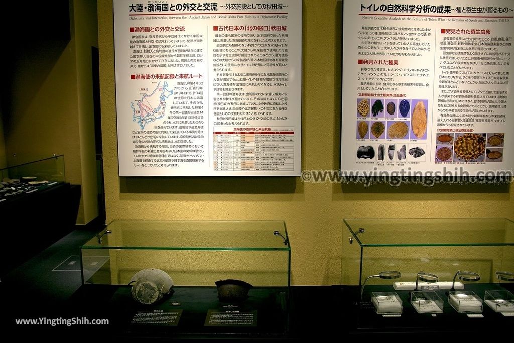 YTS_YTS_20190719_日本東北秋田秋田城跡歴史資料館Japan Tohoku Akita Fort Ruins Historical Data Museum099_539A1282.jpg