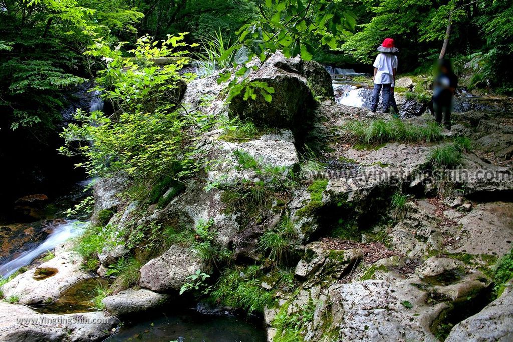 YTS_YTS_20190725_日本東北岩手雫石鶯宿温泉の逢滝／温泉神社Japan Tohoku Iwate Outaki Waterfall023_539A2222.jpg