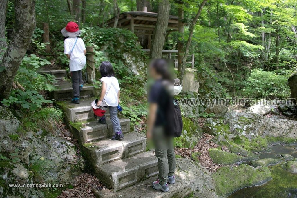 YTS_YTS_20190725_日本東北岩手雫石鶯宿温泉の逢滝／温泉神社Japan Tohoku Iwate Outaki Waterfall032_539A2316.jpg