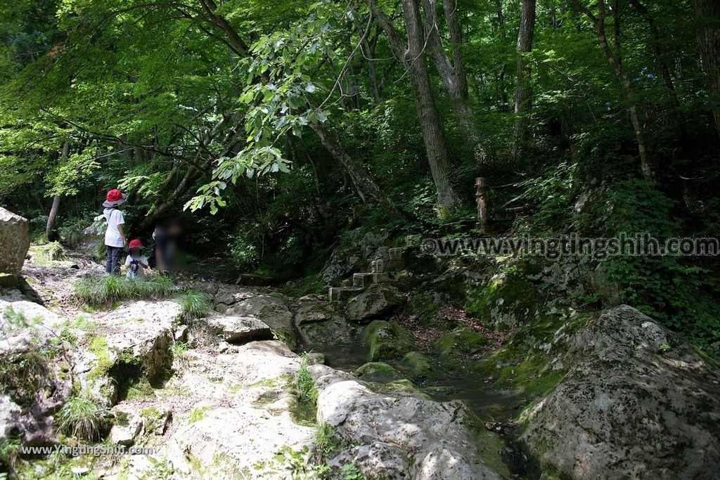 YTS_YTS_20190725_日本東北岩手雫石鶯宿温泉の逢滝／温泉神社Japan Tohoku Iwate Outaki Waterfall031_539A2261.jpg