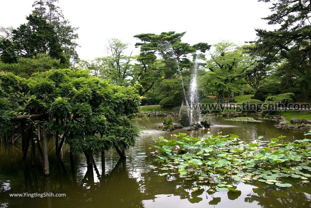 YTS_YTS_20190719_日本東北秋田千秋公園／秋田犬／彌高神社／胡月池Japan Tohoku Akita Senshu Park042_539A2042.jpg