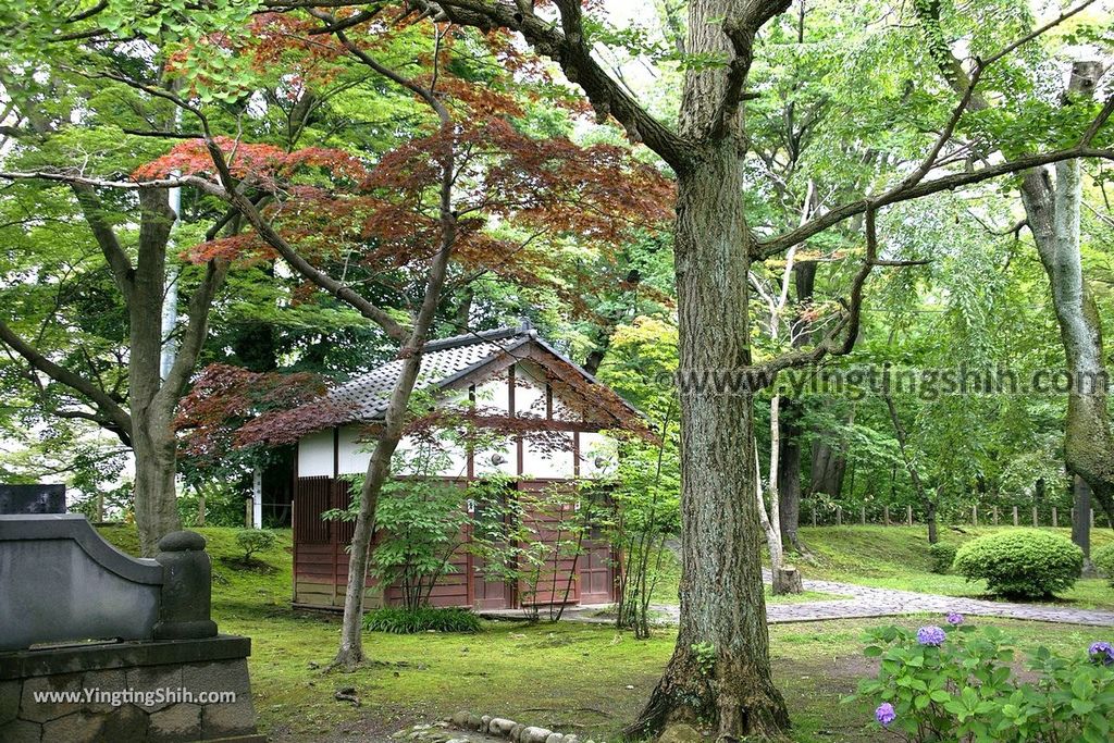 YTS_YTS_20190719_日本東北秋田千秋公園／秋田犬／彌高神社／胡月池Japan Tohoku Akita Senshu Park119_539A2251.jpg