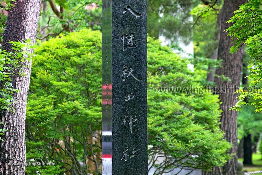 YTS_YTS_20190719_日本東北秋田千秋公園／秋田犬／彌高神社／胡月池Japan Tohoku Akita Senshu Park124_539A2258.jpg