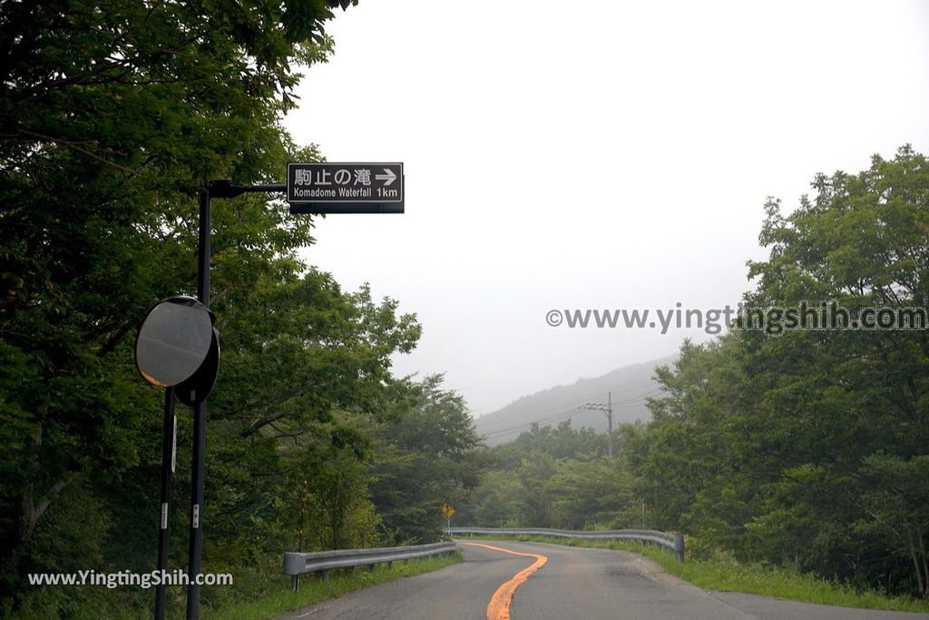 YTS_YTS_20190811_日本關東櫪木駒止の滝／那須平成の森Japan Kanto Tochigi Nasu Komadomeno Falls001_539A8217.jpg