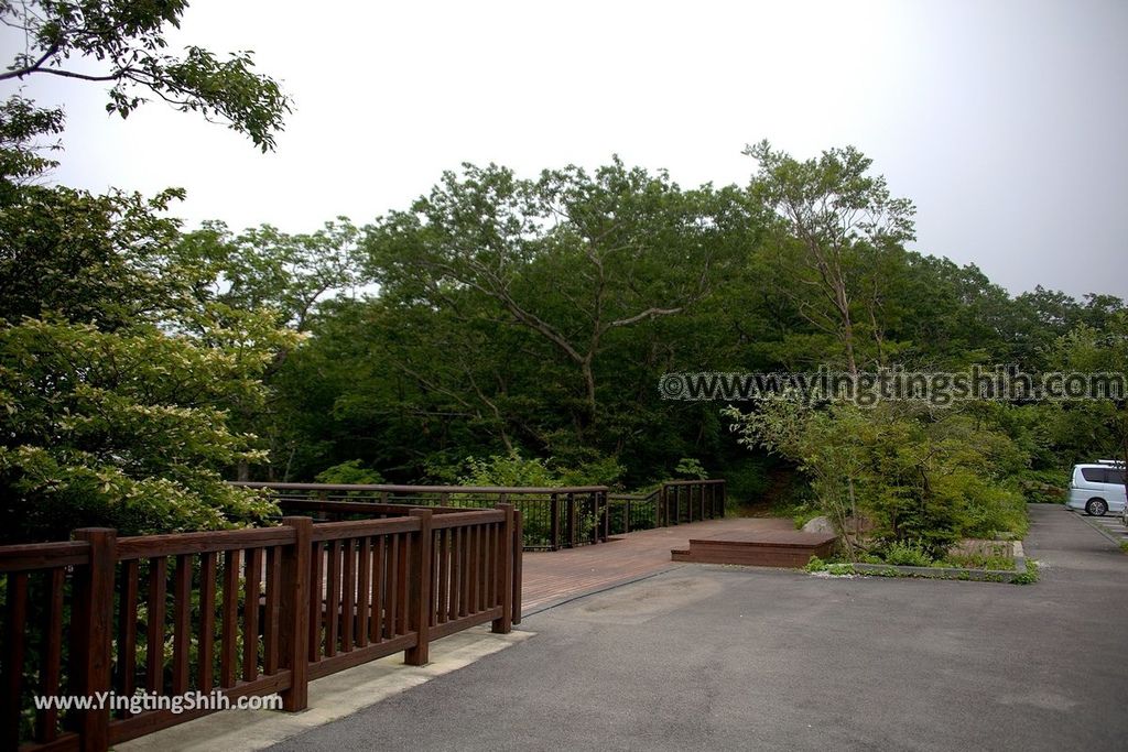 YTS_YTS_20190811_日本關東櫪木駒止の滝／那須平成の森Japan Kanto Tochigi Nasu Komadomeno Falls009_539A8232.jpg