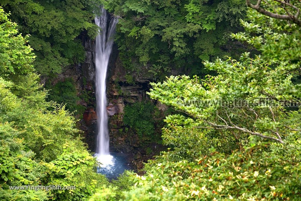 YTS_YTS_20190811_日本關東櫪木駒止の滝／那須平成の森Japan Kanto Tochigi Nasu Komadomeno Falls025_539A8294.jpg