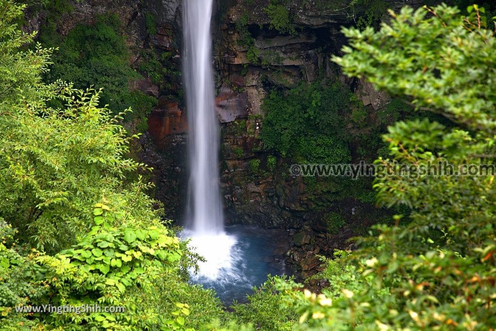 YTS_YTS_20190811_日本關東櫪木駒止の滝／那須平成の森Japan Kanto Tochigi Nasu Komadomeno Falls027_539A8473.jpg