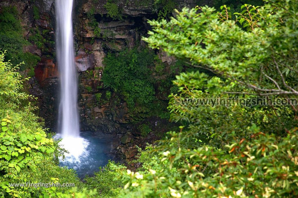 YTS_YTS_20190811_日本關東櫪木駒止の滝／那須平成の森Japan Kanto Tochigi Nasu Komadomeno Falls026_539A8437.jpg