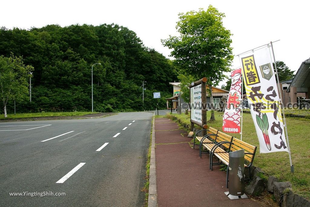 YTS_YTS_20190723_日本東北岩手岩洞湖（本州一嚴寒之地）／冰釣聖地／若鷺鱼Japan Tohoku Iwate Gando Lake004_539A9054.jpg