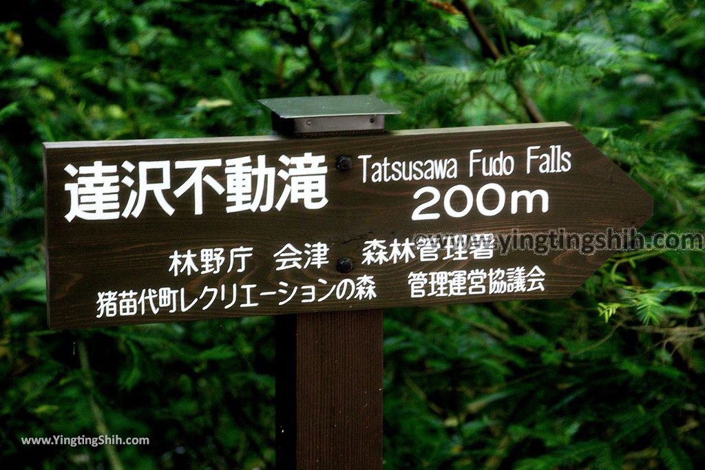 YTS_YTS_20190813_日本東北福島達沢不動滝／不動明王／男滝／女滝Japan Tohoku Fukushima Tatsusawa Fudo Falls023_539A1213.jpg