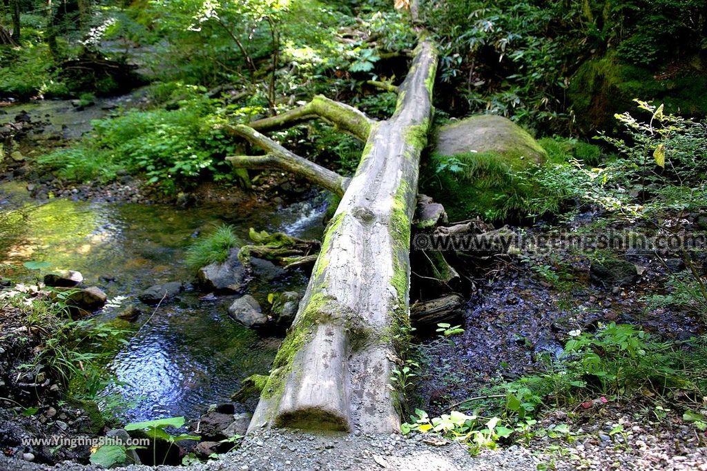 YTS_YTS_20190813_日本東北福島達沢不動滝／不動明王／男滝／女滝Japan Tohoku Fukushima Tatsusawa Fudo Falls030_539A1439.jpg