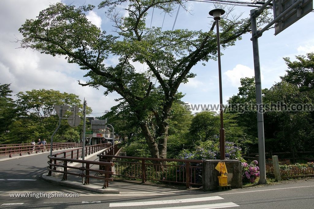 YTS_YTS_20190727_日本東北岩手巖美溪／天工橋／御覧場橋／長者滝橋Japan Tohoku Iwate Genbikei Gorge083_539A7519.jpg