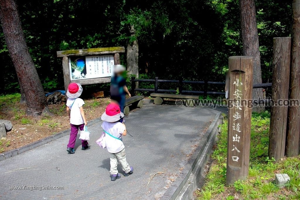 YTS_YTS_20190729_日本東北秋田湯沢小安峡／大噴湯／河原湯橋Japan Tohoku Akita Oyasukyo026_539A0071.jpg