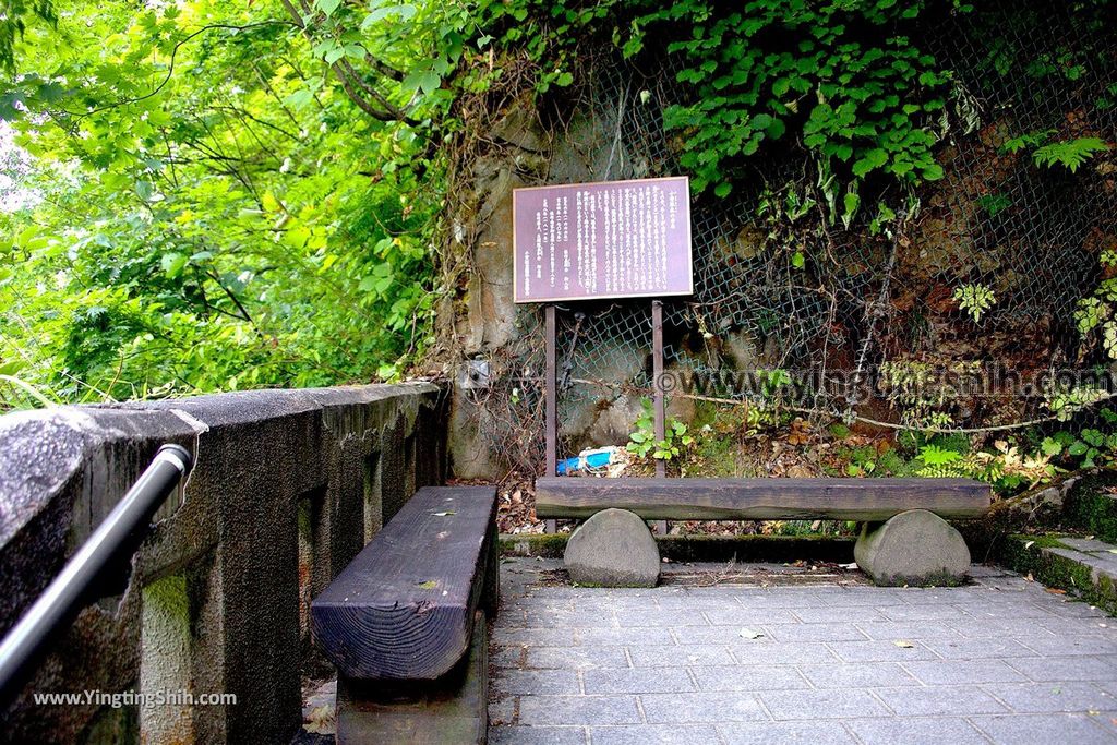 YTS_YTS_20190729_日本東北秋田湯沢小安峡／大噴湯／河原湯橋Japan Tohoku Akita Oyasukyo073_539A0510.jpg