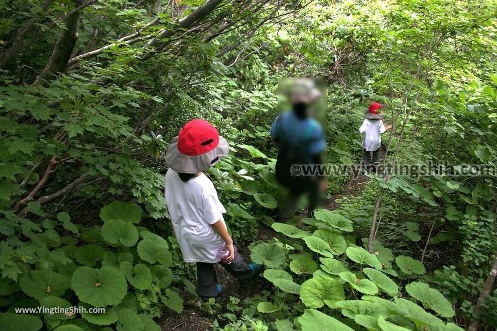 YTS_YTS_20190802_日本東北福島浄土平湿原／桶沼Japan Tohoku Fukushima Jododaira Marshlands／Okenuma059_539A0199.jpg