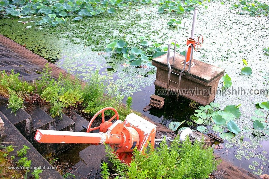 YTS_YTS_20190817_日本東北山形大山上池（拉姆薩公約登錄濕地）Japan Tohoku Yamagata Ohyama Kami-ike（Ramsar Wetland）025_539A9296.jpg