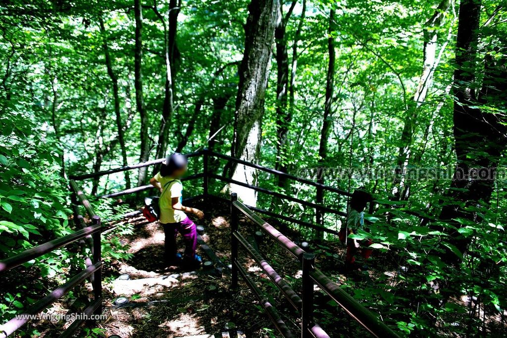 YTS_YTS_20190813_日本東北福島銚子ケ滝Japan Tohoku Fukushima Choshi Falls029_539A0618.jpg