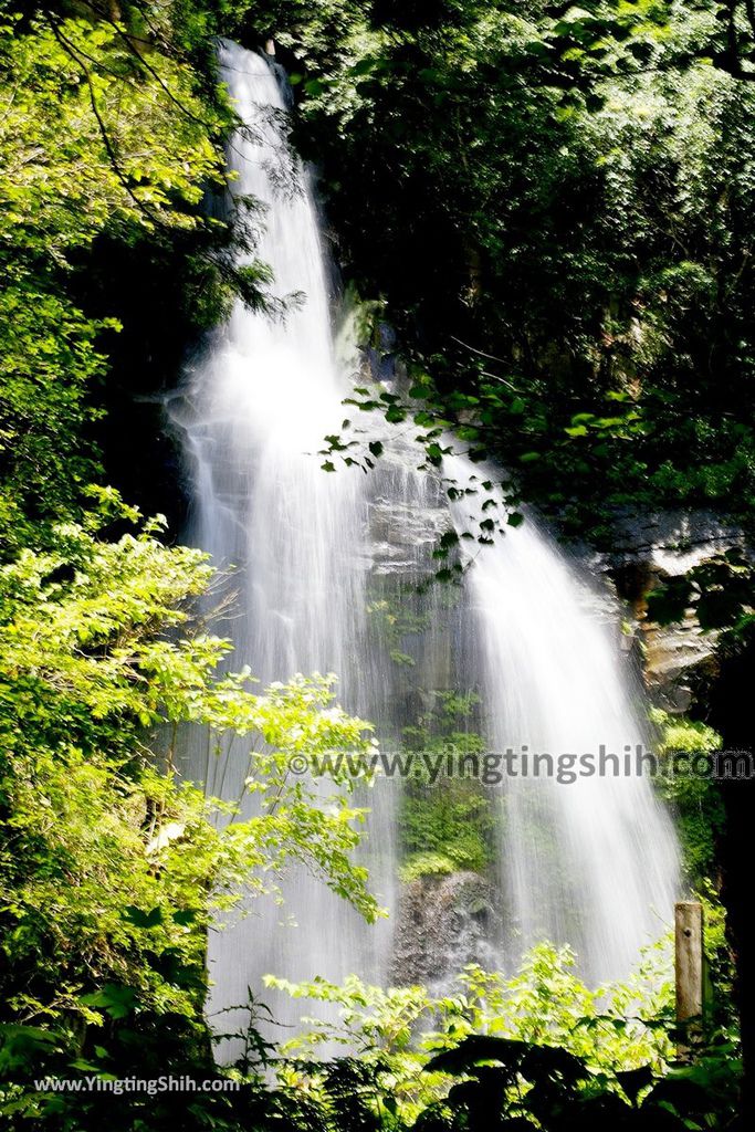 YTS_YTS_20190813_日本東北福島銚子ケ滝Japan Tohoku Fukushima Choshi Falls035_539A0642.jpg