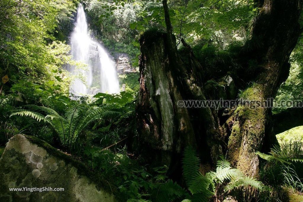 YTS_YTS_20190813_日本東北福島銚子ケ滝Japan Tohoku Fukushima Choshi Falls034_539A0705.jpg