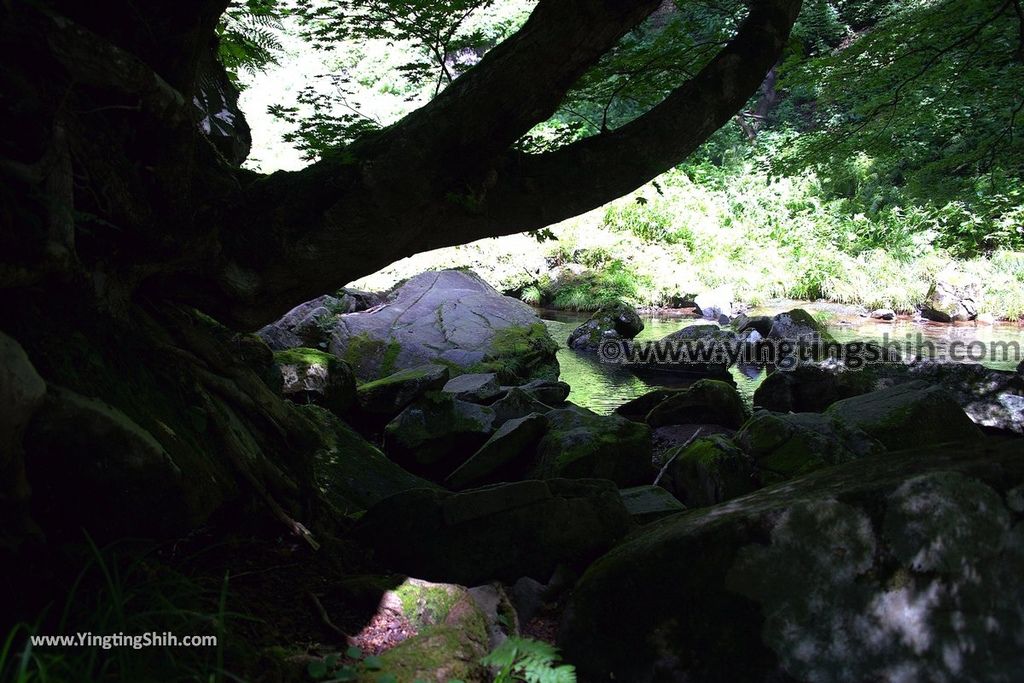 YTS_YTS_20190813_日本東北福島銚子ケ滝Japan Tohoku Fukushima Choshi Falls037_539A0709.jpg