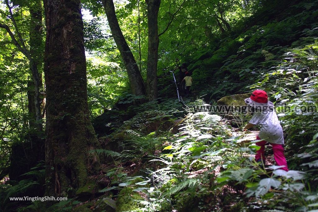 YTS_YTS_20190813_日本東北福島銚子ケ滝Japan Tohoku Fukushima Choshi Falls049_539A1143.jpg