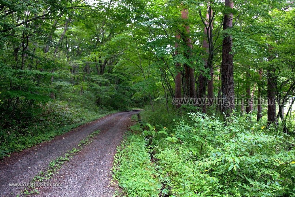 YTS_YTS_20190815_日本東北福島女沼／思いの滝／つつじ山公園Japan Tohoku Fukushima Onanuma027_539A5737.jpg