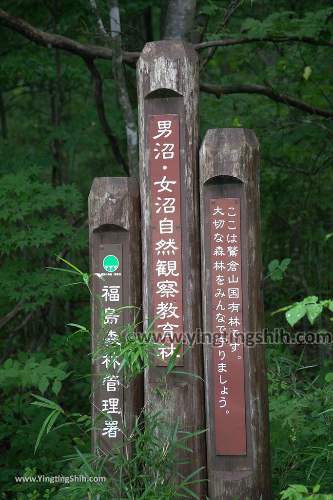 YTS_YTS_20190815_日本東北福島女沼／思いの滝／つつじ山公園Japan Tohoku Fukushima Onanuma029_539A5736.jpg