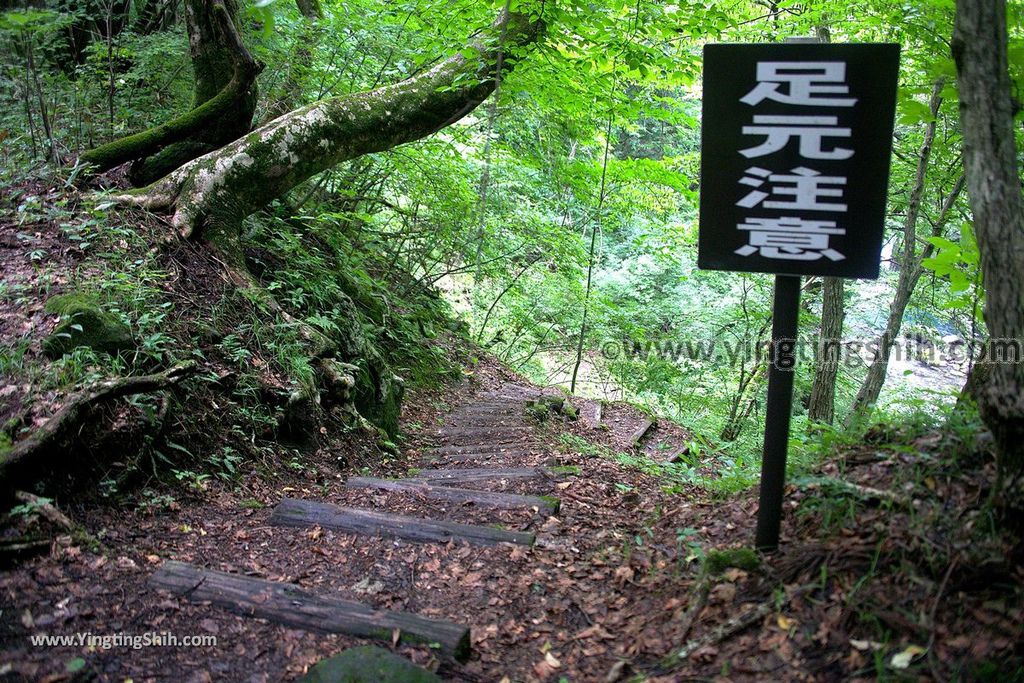 YTS_YTS_20190815_日本東北福島女沼／思いの滝／つつじ山公園Japan Tohoku Fukushima Onanuma054_539A5809.jpg