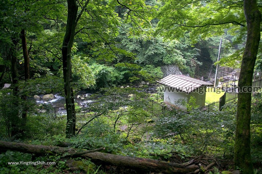 YTS_YTS_20190815_日本東北福島女沼／思いの滝／つつじ山公園Japan Tohoku Fukushima Onanuma058_539A5926.jpg