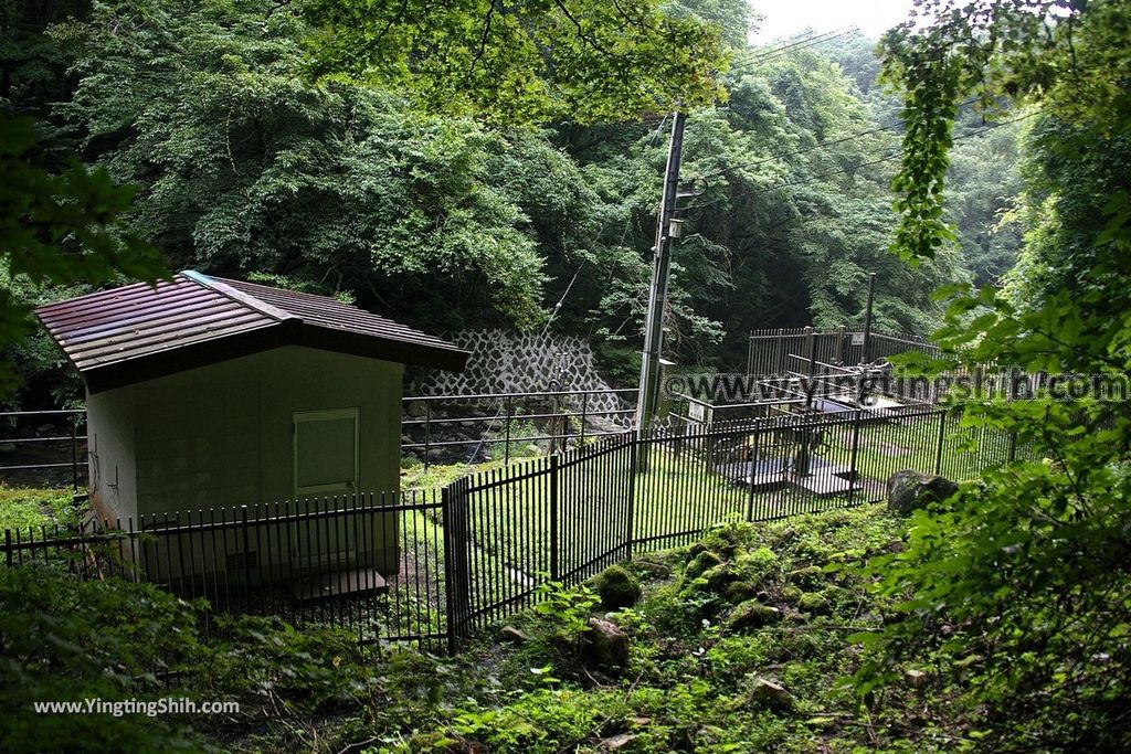 YTS_YTS_20190815_日本東北福島女沼／思いの滝／つつじ山公園Japan Tohoku Fukushima Onanuma059_539A5899.jpg