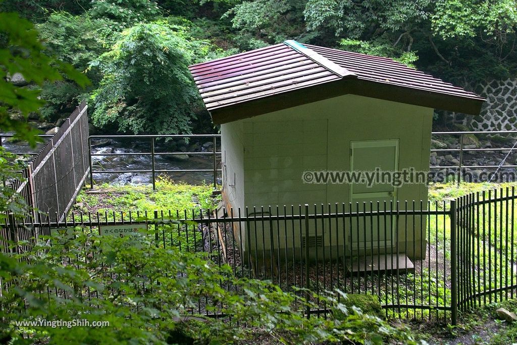 YTS_YTS_20190815_日本東北福島女沼／思いの滝／つつじ山公園Japan Tohoku Fukushima Onanuma060_539A5901.jpg