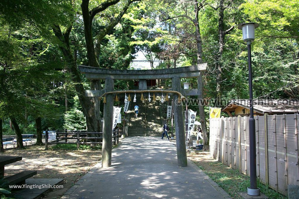 YTS_YTS_20190804_日本關東埼玉川越仙波東照宮／葵庭園Japan Kanto Saitama Senba Tōshō-gū009_539A1850.jpg