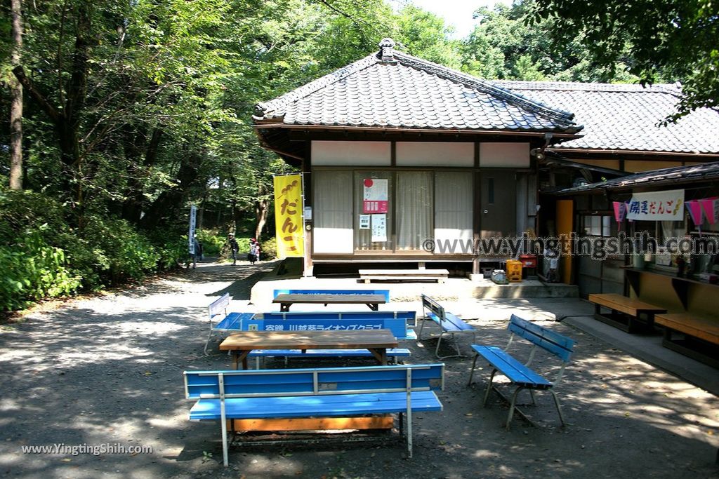 YTS_YTS_20190804_日本關東埼玉川越仙波東照宮／葵庭園Japan Kanto Saitama Senba Tōshō-gū014_539A1856.jpg