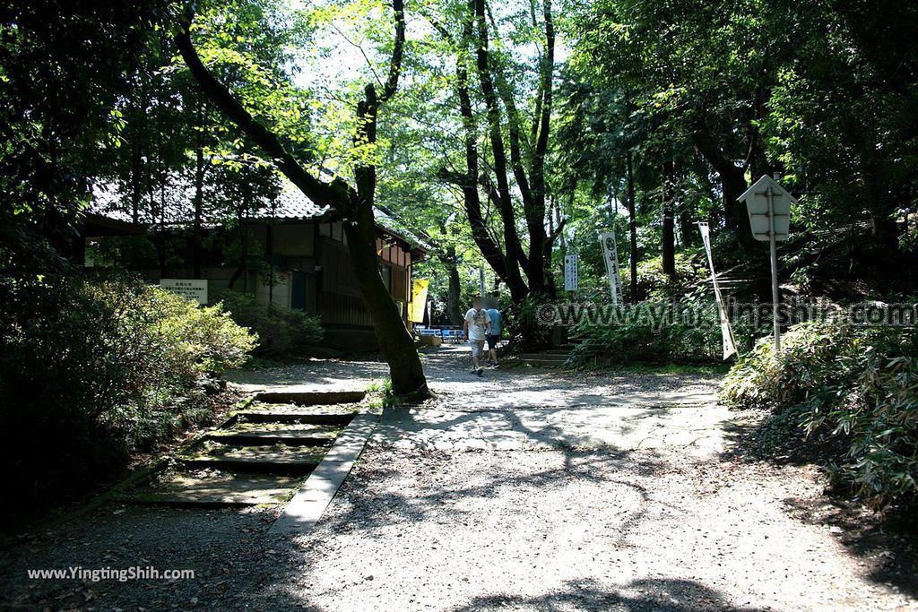 YTS_YTS_20190804_日本關東埼玉川越仙波東照宮／葵庭園Japan Kanto Saitama Senba Tōshō-gū021_539A1836.jpg